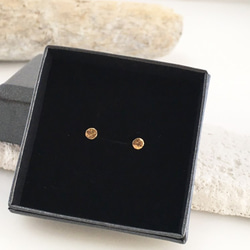 Simple Golden Studs◇ K14 ゴールドピアス 4枚目の画像