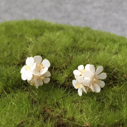 ピアス：Paper Flower Earrings No.2 1枚目の画像