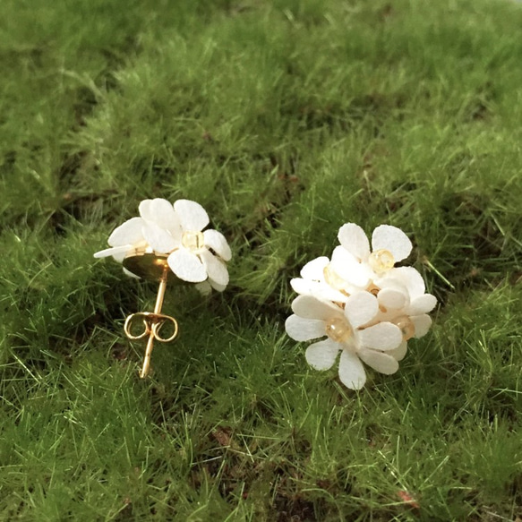 ピアス：Paper Flower Earrings No.2 2枚目の画像