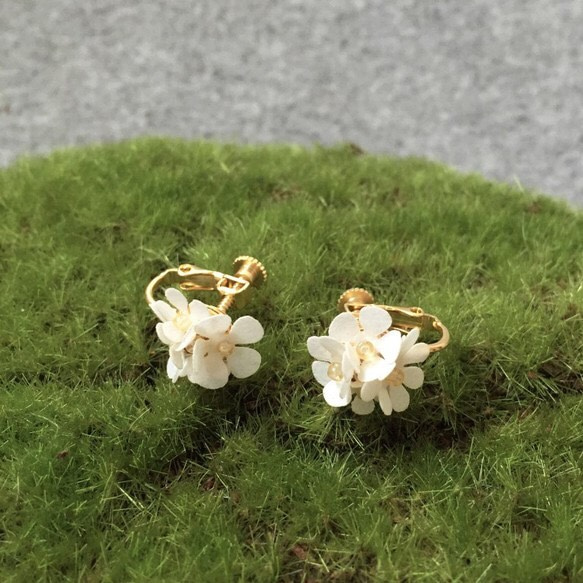 イヤリング：Paper Flower Earrings No.2 1枚目の画像