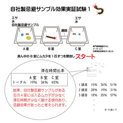 ムカデちゃんアウト10個入 日本製 送料無料 100％天然成分 効果長持約1か月 国産 殺虫剤不使用 効果実証済み 日本 9枚目の画像