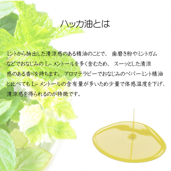 天然ハッカ油 茶瓶タイプ 10ml×2本 日本製 送料無料 虫よけスプレー 香り着け カビ除け 芳香 消臭 お手軽 2枚目の画像