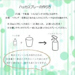 天然ハッカ油 茶瓶タイプ 10ml×2本 日本製 送料無料 虫よけスプレー 香り着け カビ除け 芳香 消臭 お手軽 4枚目の画像