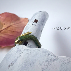 ヘビリング 1枚目の画像