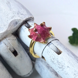 メンダコリング 2枚目の画像