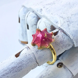 メンダコリング 3枚目の画像