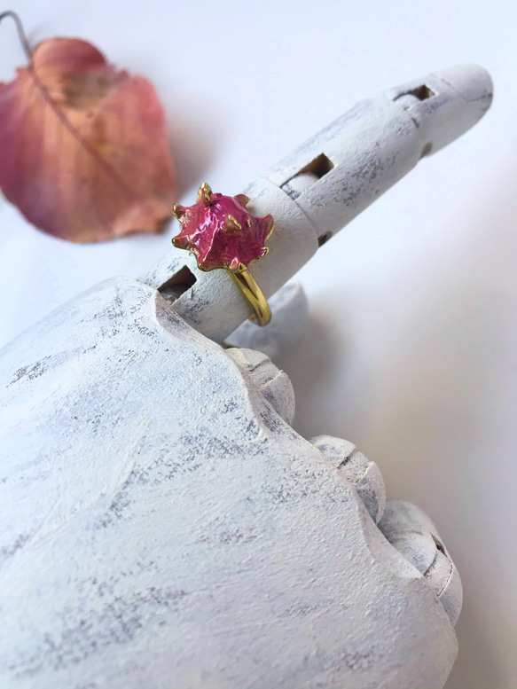 メンダコリング 5枚目の画像