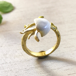 カラスリング 指輪・リング よっしー 通販 6243267｜Creema(クリーマ)