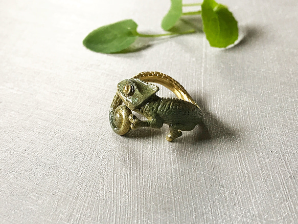 カメレオンリング 2枚目の画像