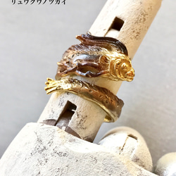 リュウグウノツカイ 1枚目の画像