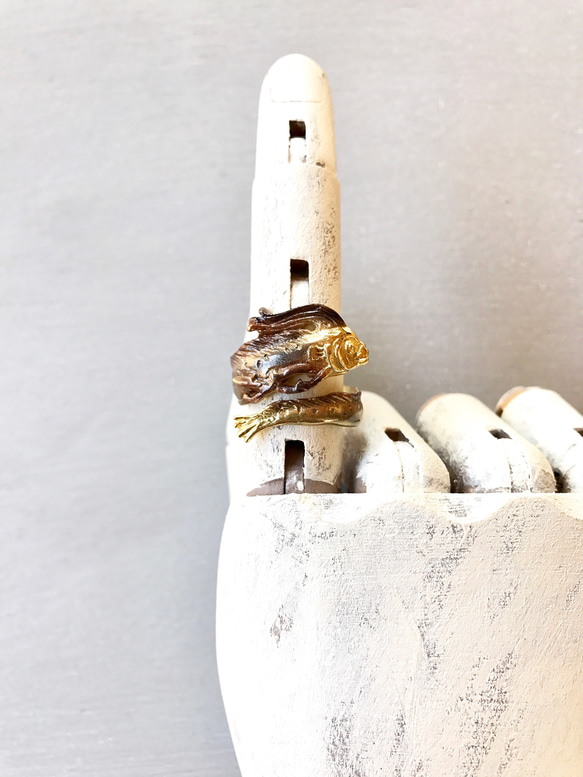 リュウグウノツカイ 3枚目の画像