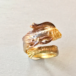 リュウグウノツカイ 4枚目の画像