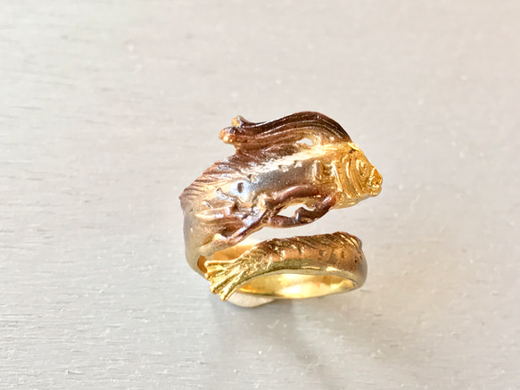 リュウグウノツカイ 4枚目の画像