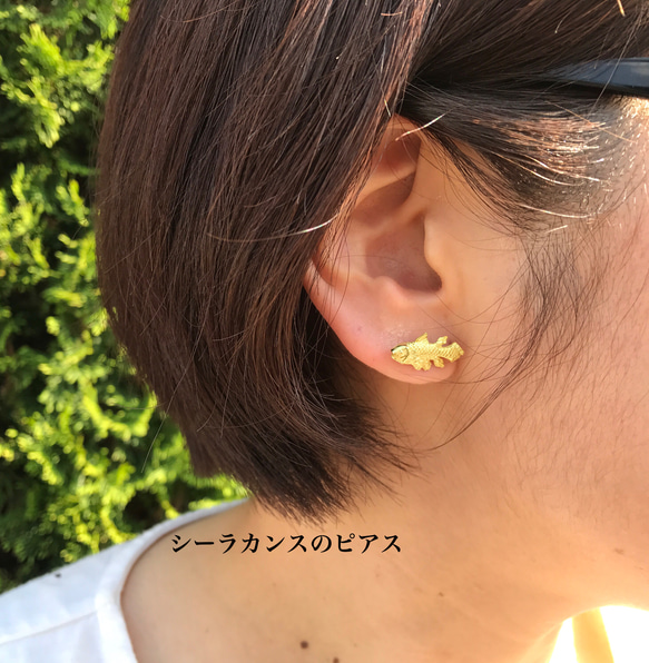 シーラカンスのピアス 1枚目の画像