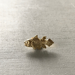 シーラカンスのピアス 2枚目の画像