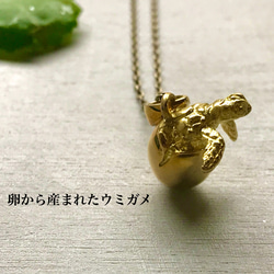 卵から産まれたウミガメ 1枚目の画像