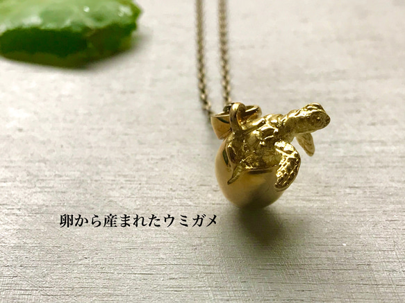 卵から産まれたウミガメ 1枚目の画像