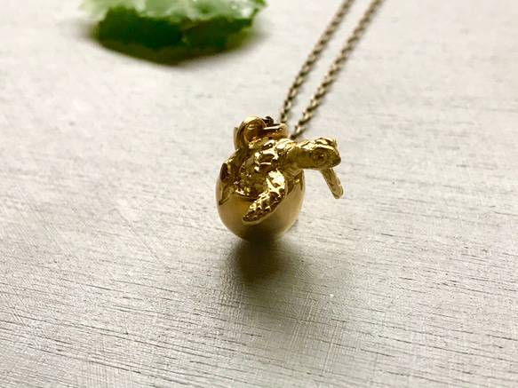 卵から産まれたウミガメ 2枚目の画像