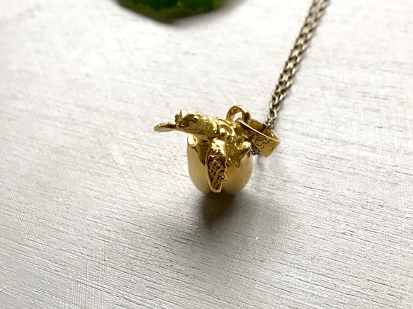 卵から産まれたウミガメ 4枚目の画像