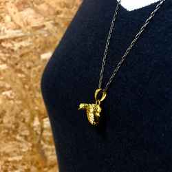 卵から産まれたウミガメ 7枚目の画像