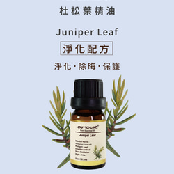 Amour 杜松葉精油 Juniper Lea 10ml 第4張的照片