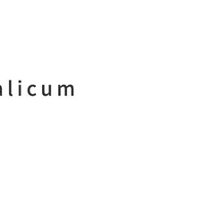 Amour 永久花精油 Helichrysum 5ml 第2張的照片