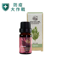 Amour 絲柏精油 Cypress 10ml 第2張的照片