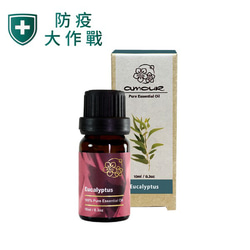 Amour 尤加利精油 Eucalyptus 10ml 第2張的照片