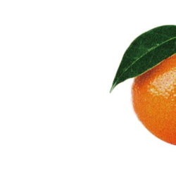 Amour 甜橙精油 Orange Sweet 10ml 第3張的照片
