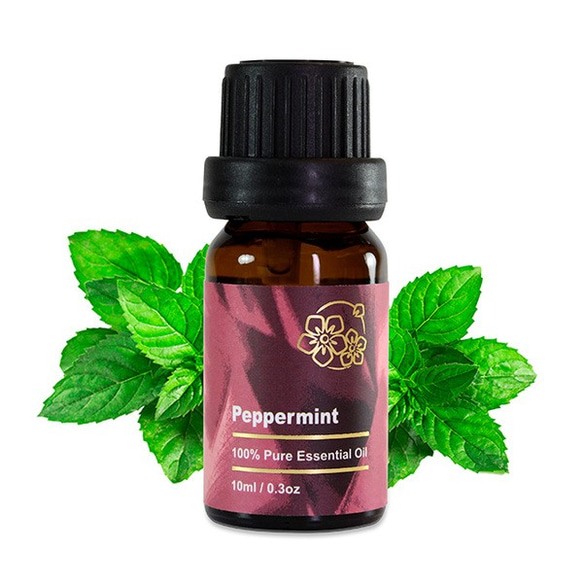 Amour 黑胡椒薄荷精油 Peppermint 10ml 第1張的照片