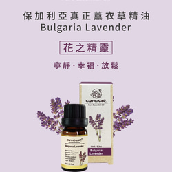 Amour 保加利亞真正薰衣草精油 Bulgaria Lavender 10ml 第4張的照片