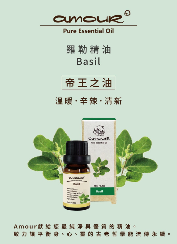 Amour 羅勒精油 Basil 10ml 第4張的照片