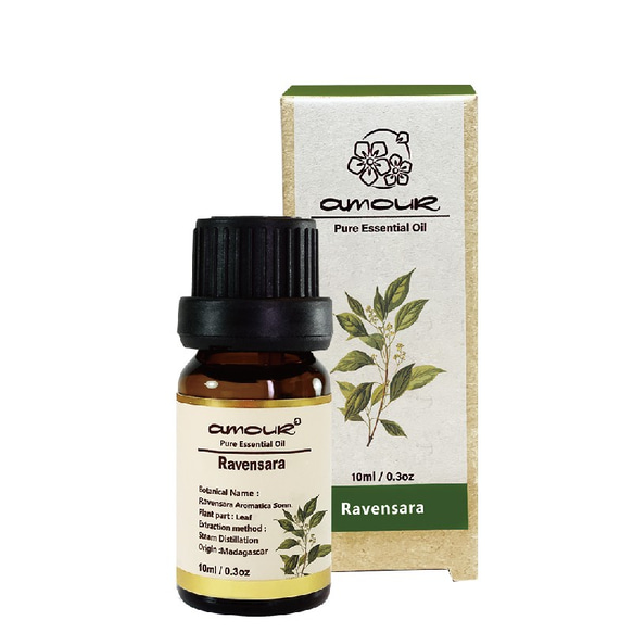 Amour 羅文莎葉精油 Ravensara 10ml 第2張的照片