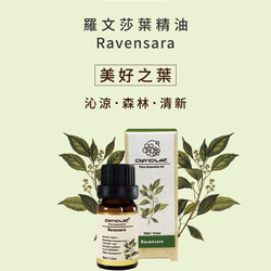 Amour 羅文莎葉精油 Ravensara 10ml 第4張的照片