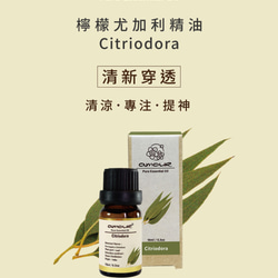 Amour 檸檬尤加利精油 Citriodora 10ml 第4張的照片