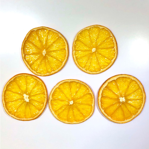 最高級】ドライオレンジ 5枚 ドライフルーツ 花材 素材 その他素材  