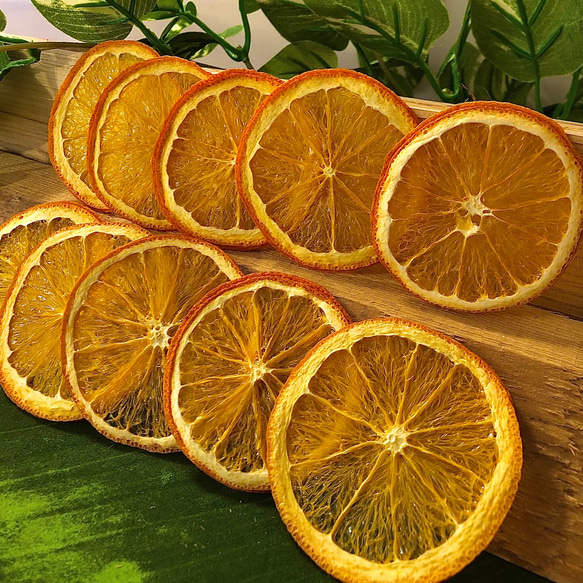 【最高級】ドライオレンジ　１０枚　ドライフルーツ　花材　素材 2枚目の画像