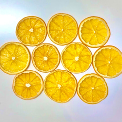 【最高級】ドライオレンジ　１０枚　ドライフルーツ　花材　素材 4枚目の画像