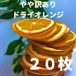 やや訳あり ドライオレンジ 10枚 ドライフルーツ 花材 素材 その他 