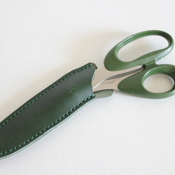 剪刀剪的情況下/百合花象徵綠色 第1張的照片