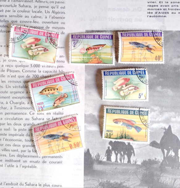 【外国切手】カラフルお魚切手7枚セット 1枚目の画像