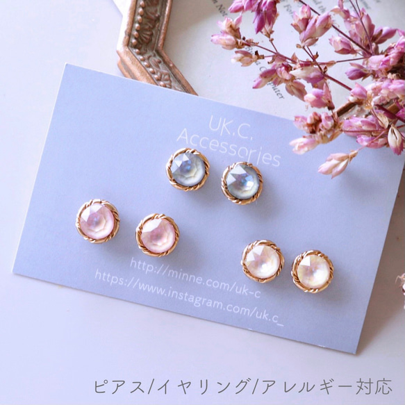 ピアス くすみスワロ（オプション変更 イヤリング 樹脂ピアス チタン 