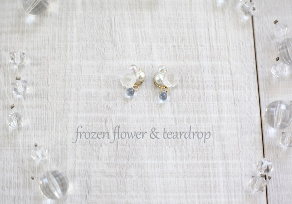 frozen flower & teardrop 1枚目の画像