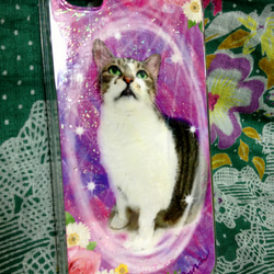 在庫処分 iPhone 4／4ｓ　猫 アート Anna オリジナル(ﾋﾟﾝｸ) 2枚目の画像