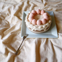 ぎっしり白苺♡ほんものみたいなホールケーキのあみぐるみ