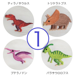 かわいい恐竜ワッペン-① 4枚セット アイロン接着仕様 3枚目の画像