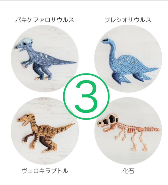 かわいい恐竜ワッペン-① 4枚セット アイロン接着仕様 5枚目の画像