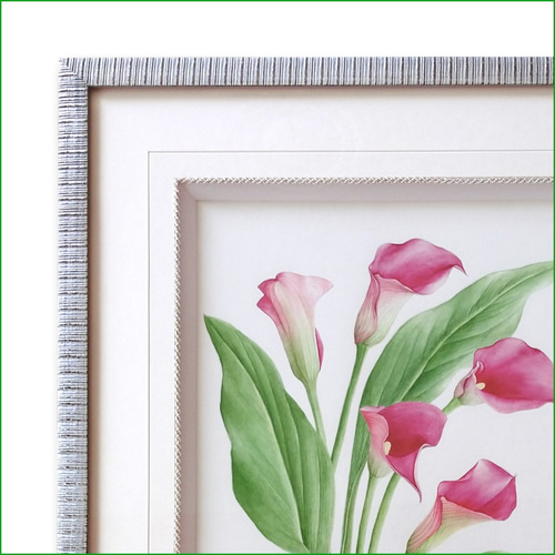 ボタニカルアート カラー 植物画 絵画 Zinnia 通販 12466584 ボタニカルアート カラー 植物画 絵画 Zinnia 通販 12466584