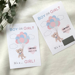【2枚セット】クマのジェンダーリビールカード　2枚セット　テディベア　性別発表　ジェンダーリビール　男の子　女の子 3枚目の画像