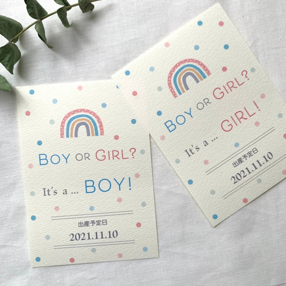 【2枚セット】レインボーのジェンダーリビールカード　2枚セット　虹　性別発表　ジェンダーリビール　男の子　女の子 3枚目の画像